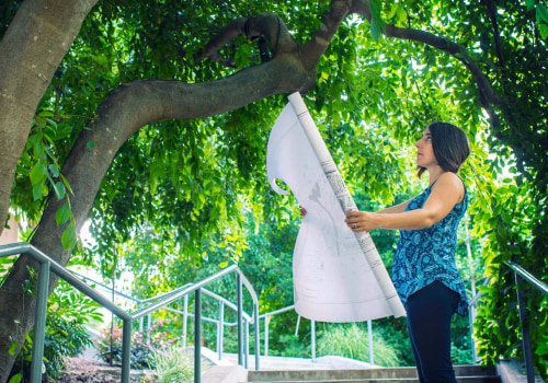 Understanding Tree Risk Assessment: Key Factors and Considerations